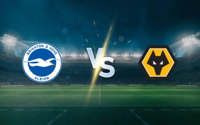 Brighton & Hove Albion vs Wolverhampton Wanderers